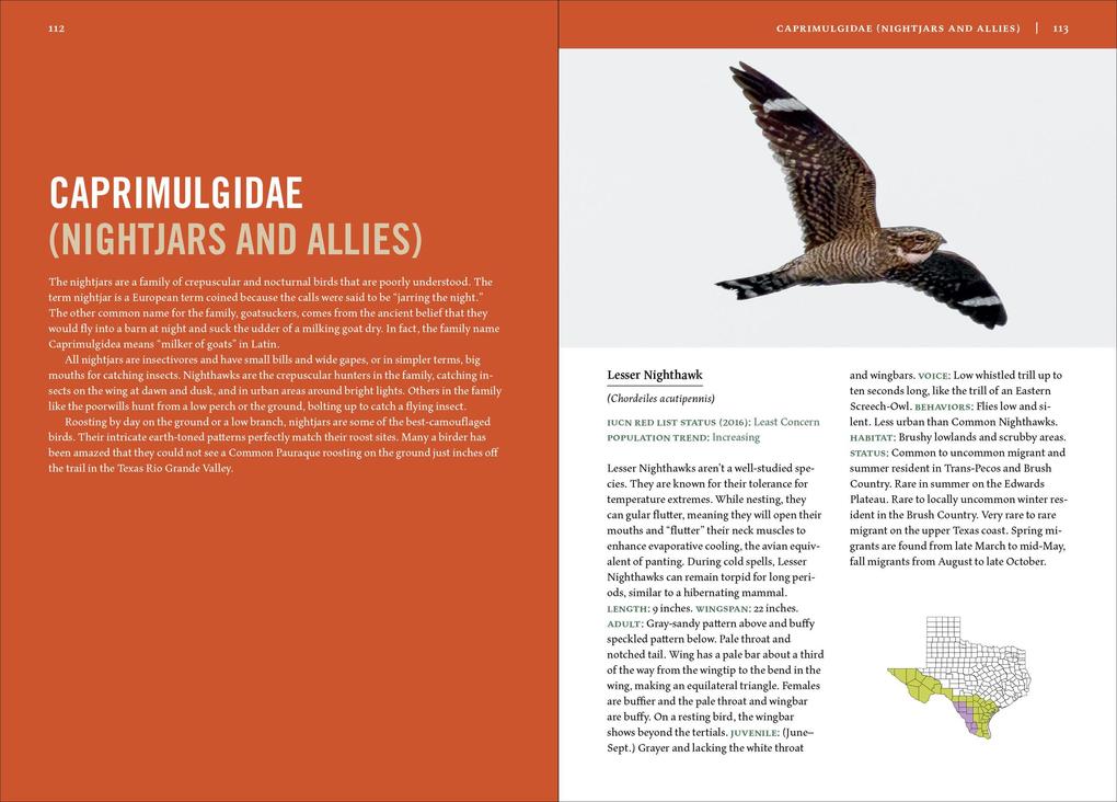 Weitere Ansicht: Birds of Texas | David Sarkozi