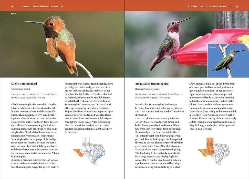 Weitere Ansicht: Birds of Texas | David Sarkozi