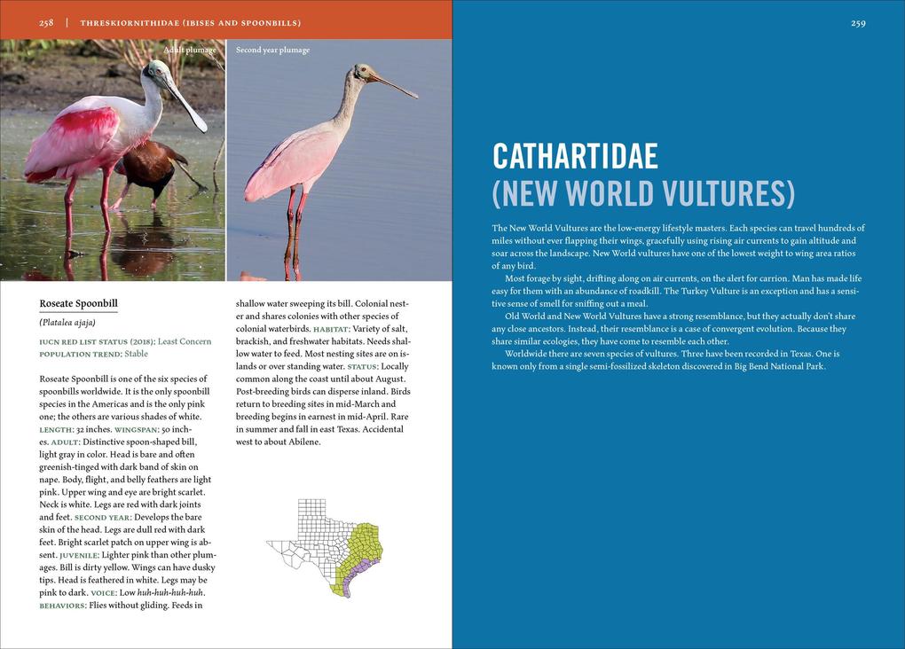 Weitere Ansicht: Birds of Texas | David Sarkozi