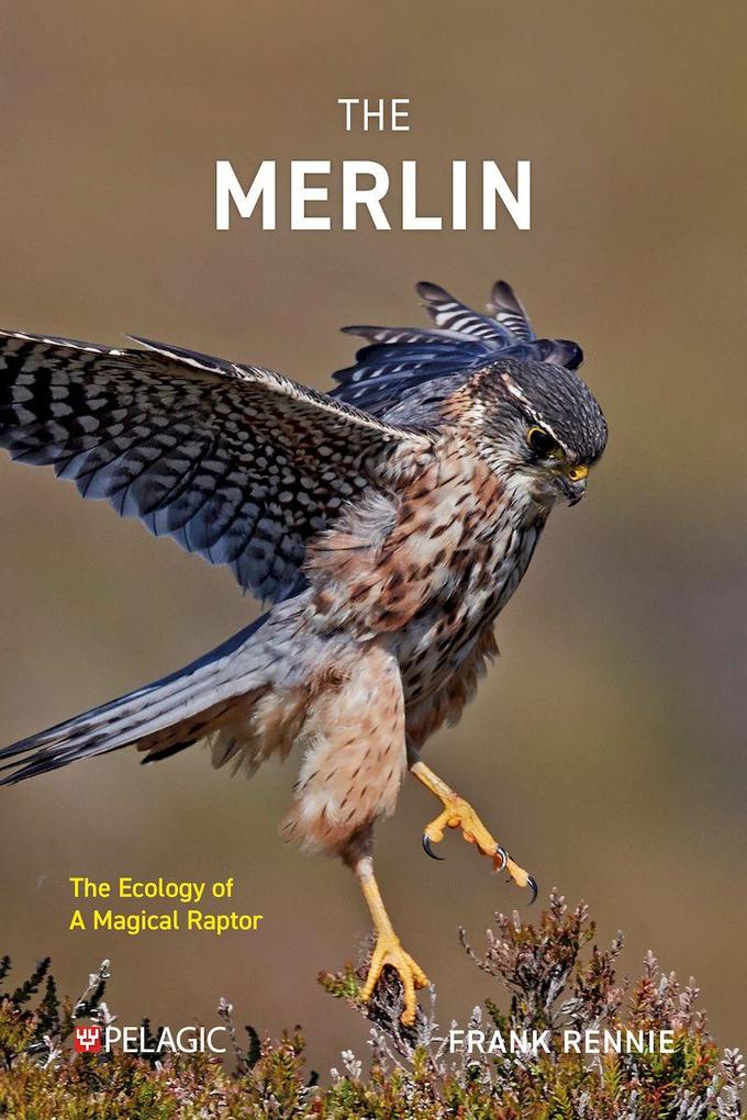 Produktbild: The Merlin | Frank Rennie