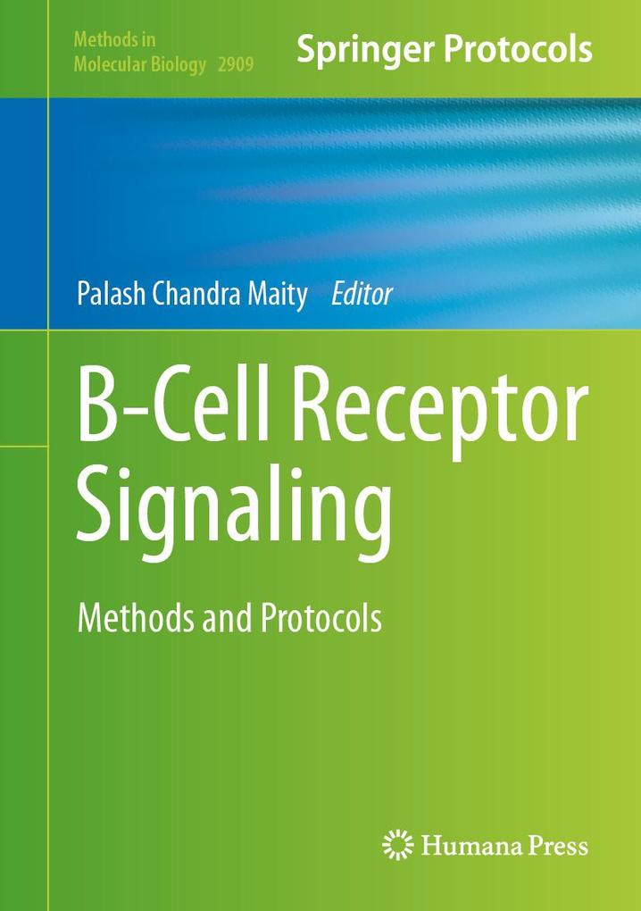 Produktbild: B-Cell Receptor Signaling