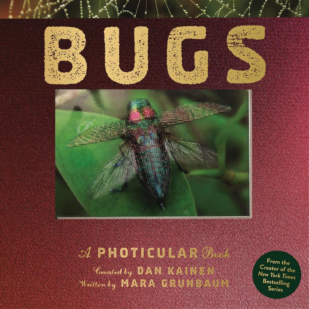 Produktbild: Bugs | Dan Kainen, Mara Grunbaum