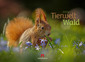 Produktbild: Tierwelt Wald Kalender 2026 | Ackermann Kunstverlag GmbH