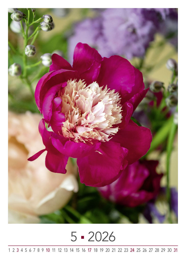 Weitere Ansicht: Blühende Momente 2026 | Team BLOOM's