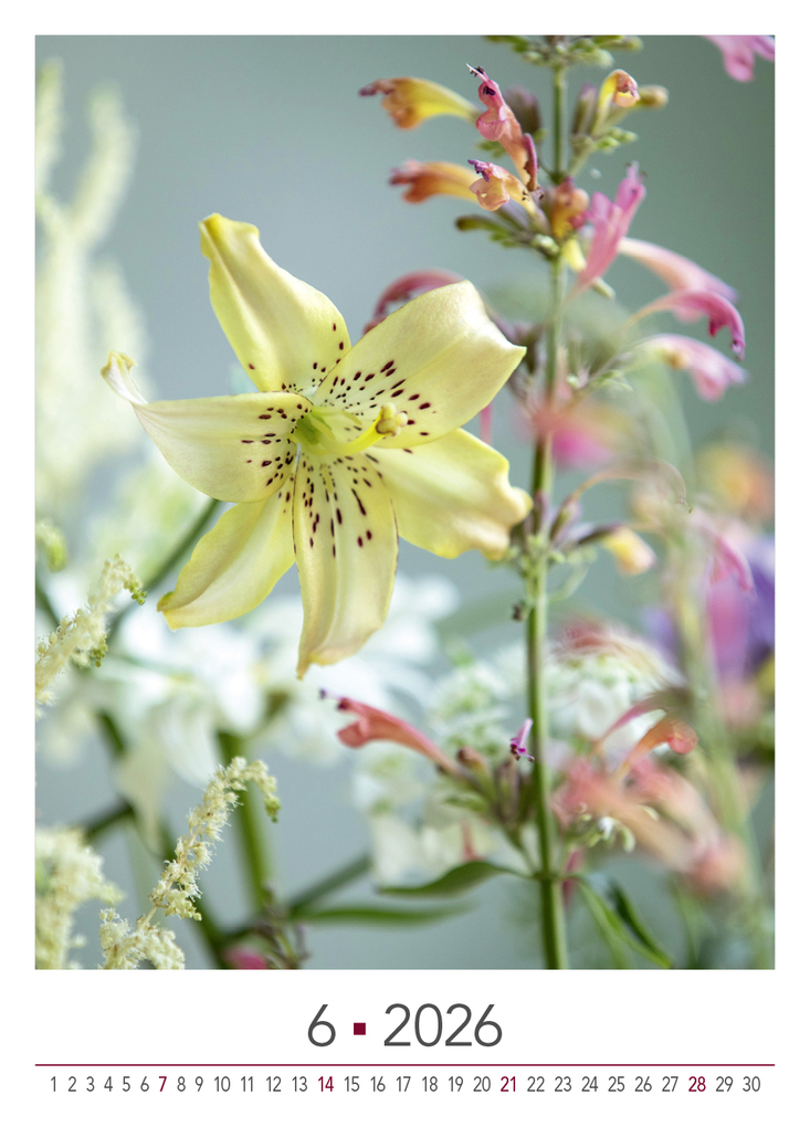 Weitere Ansicht: Blühende Momente 2026 | Team BLOOM's