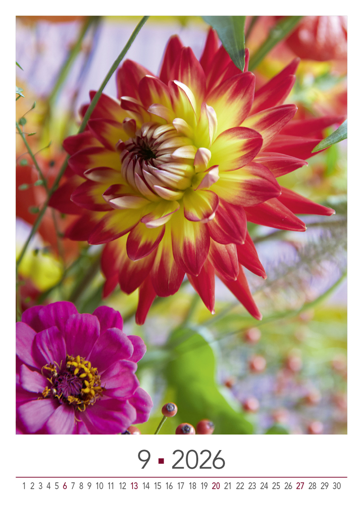 Weitere Ansicht: Blühende Momente 2026 | Team BLOOM's