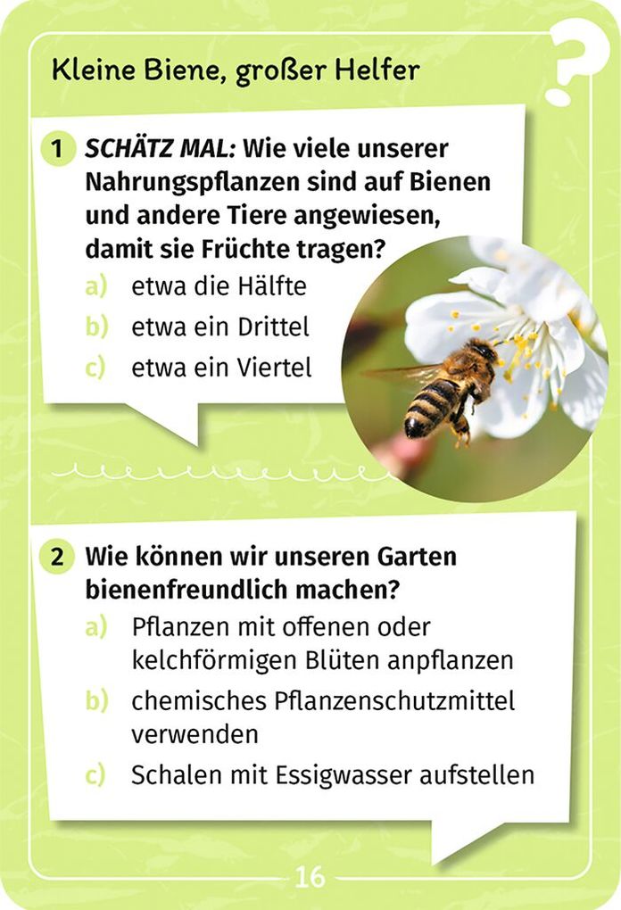 Weitere Ansicht: Mein Garten-Forscherquiz | Annett Stütze, Britta Vorbach