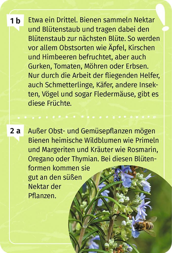 Weitere Ansicht: Mein Garten-Forscherquiz | Annett Stütze, Britta Vorbach
