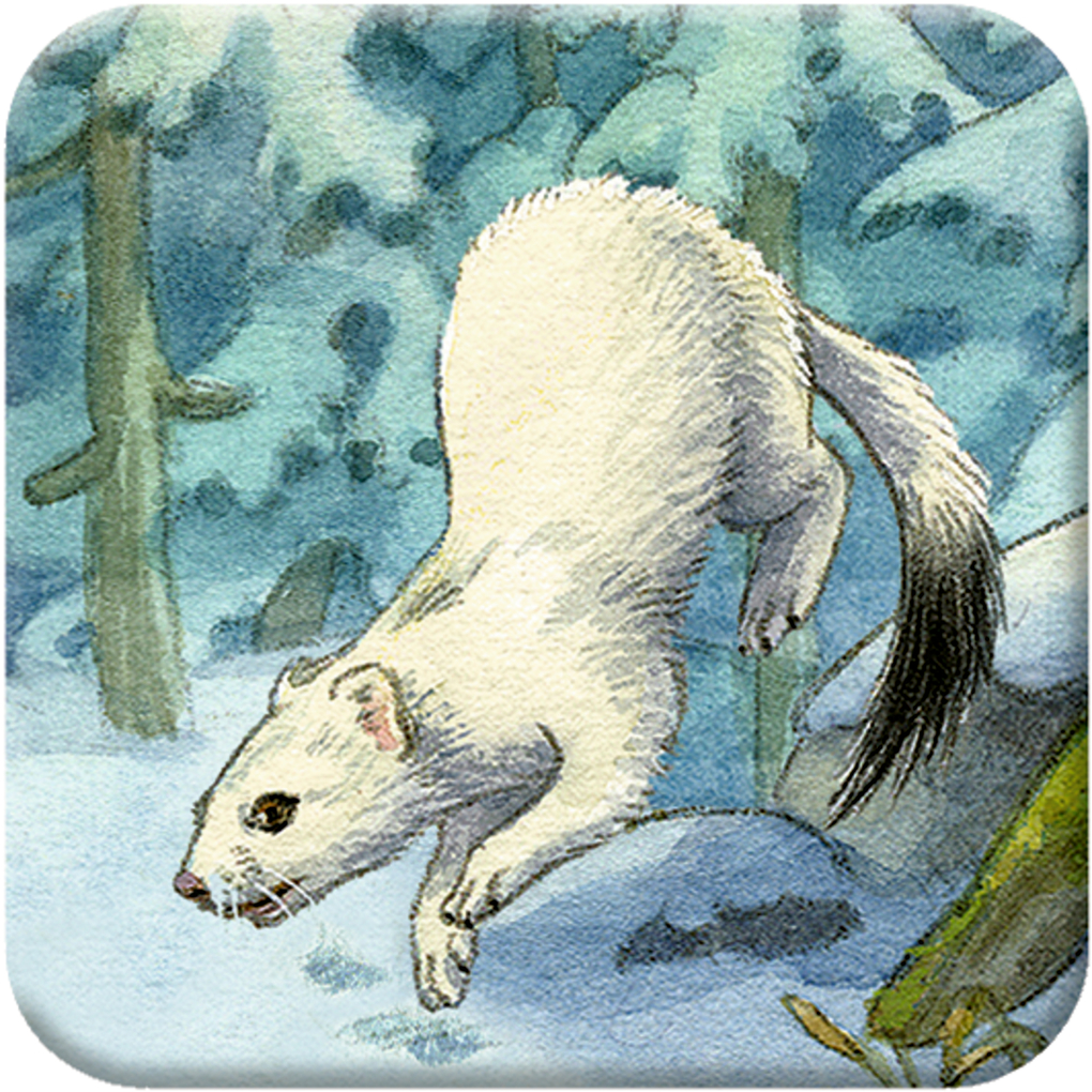 Weitere Ansicht: Memo-Adventskalender - Die Tiere im Winterwald