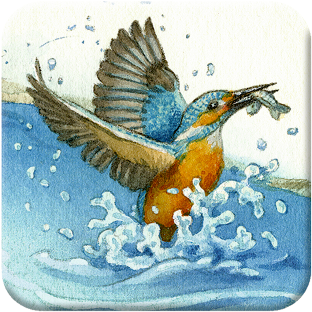 Weitere Ansicht: Memo-Adventskalender - Die Tiere im Winterwald