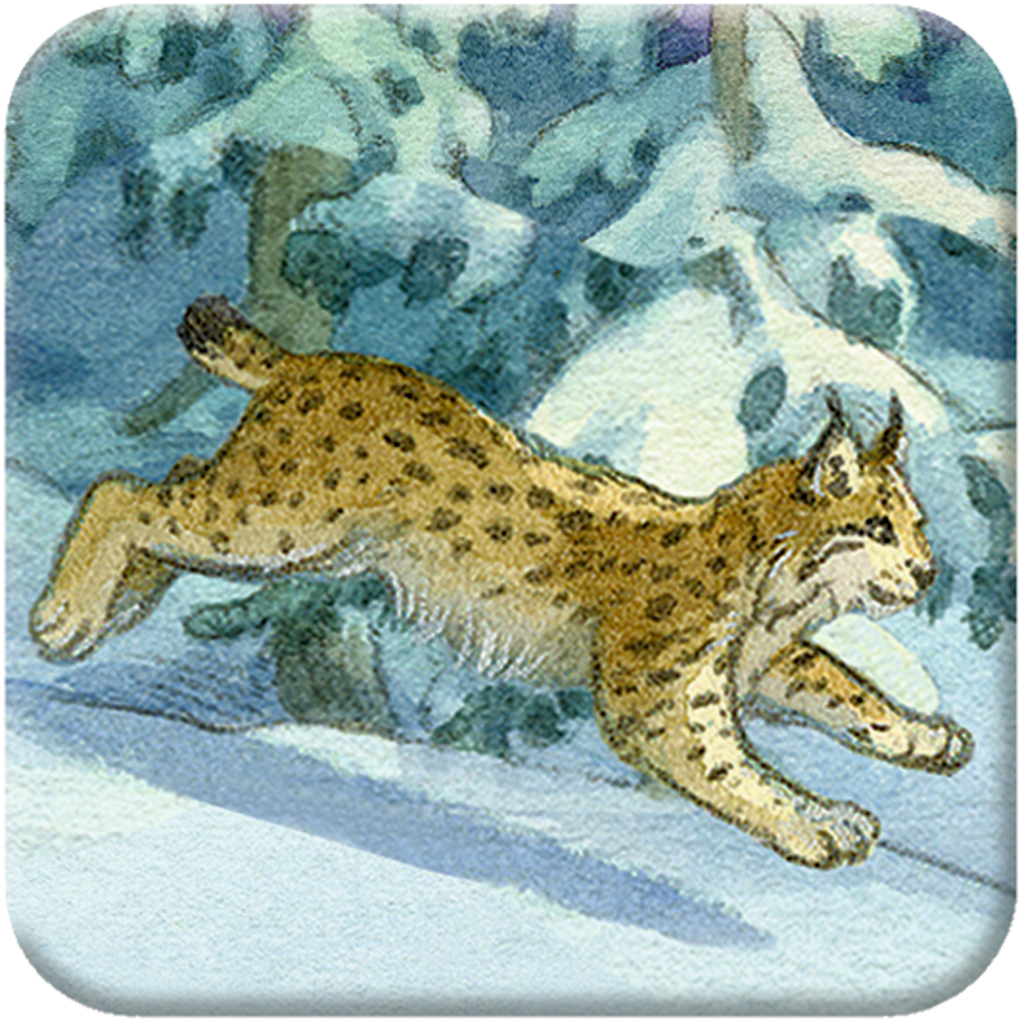 Weitere Ansicht: Memo-Adventskalender - Die Tiere im Winterwald