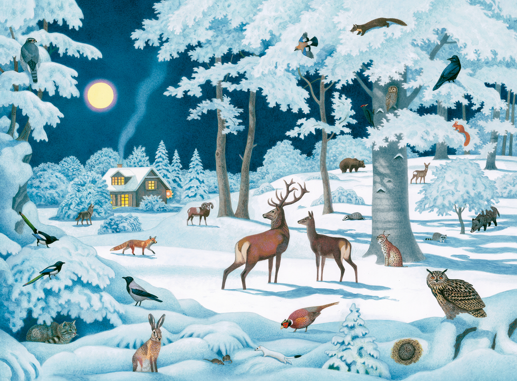 Weitere Ansicht: Wand-Adventskalender - Wintertiere bei Nacht