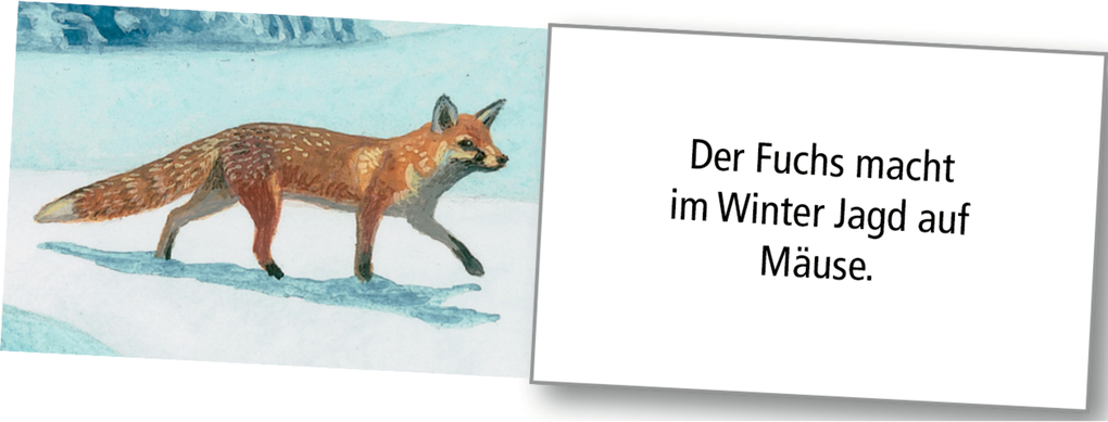 Weitere Ansicht: Wand-Adventskalender - Wintertiere bei Nacht