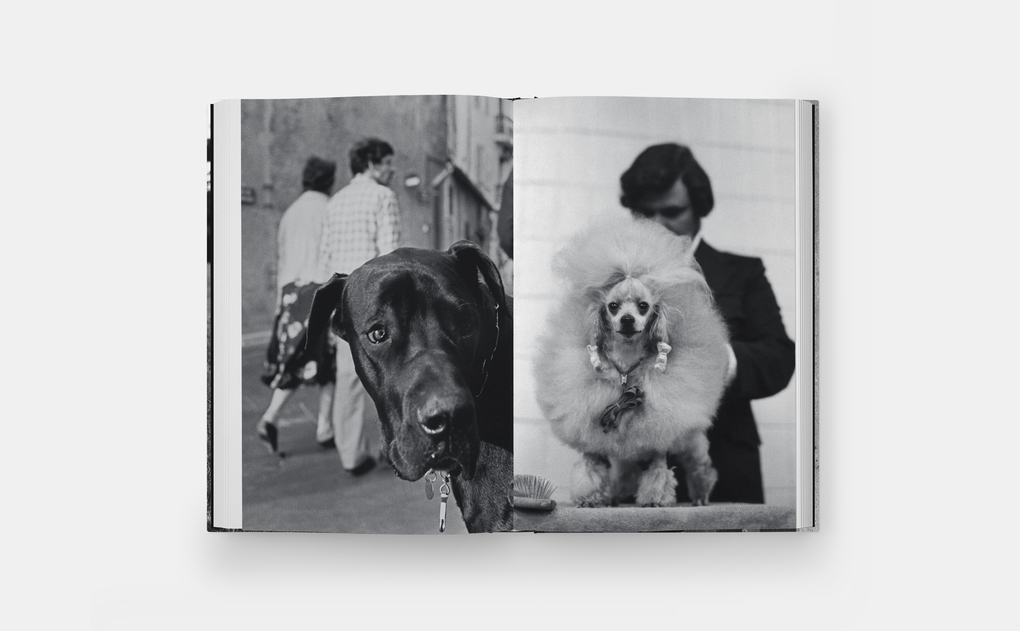 Weitere Ansicht: Hunde lieben