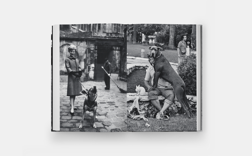 Weitere Ansicht: Hunde lieben