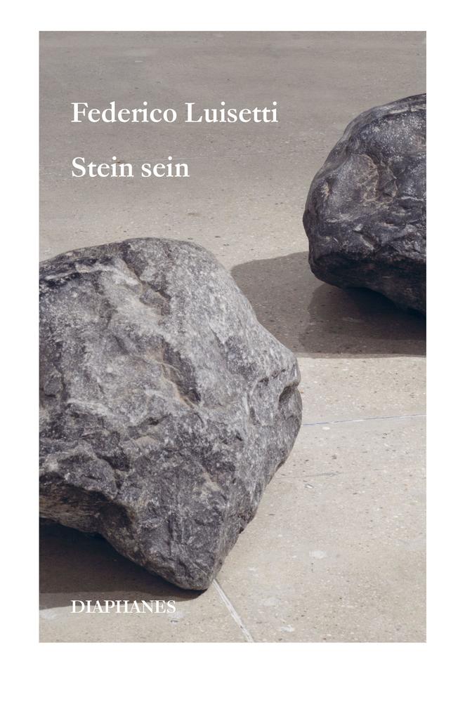Produktbild: Stein sein | Federico Luisetti