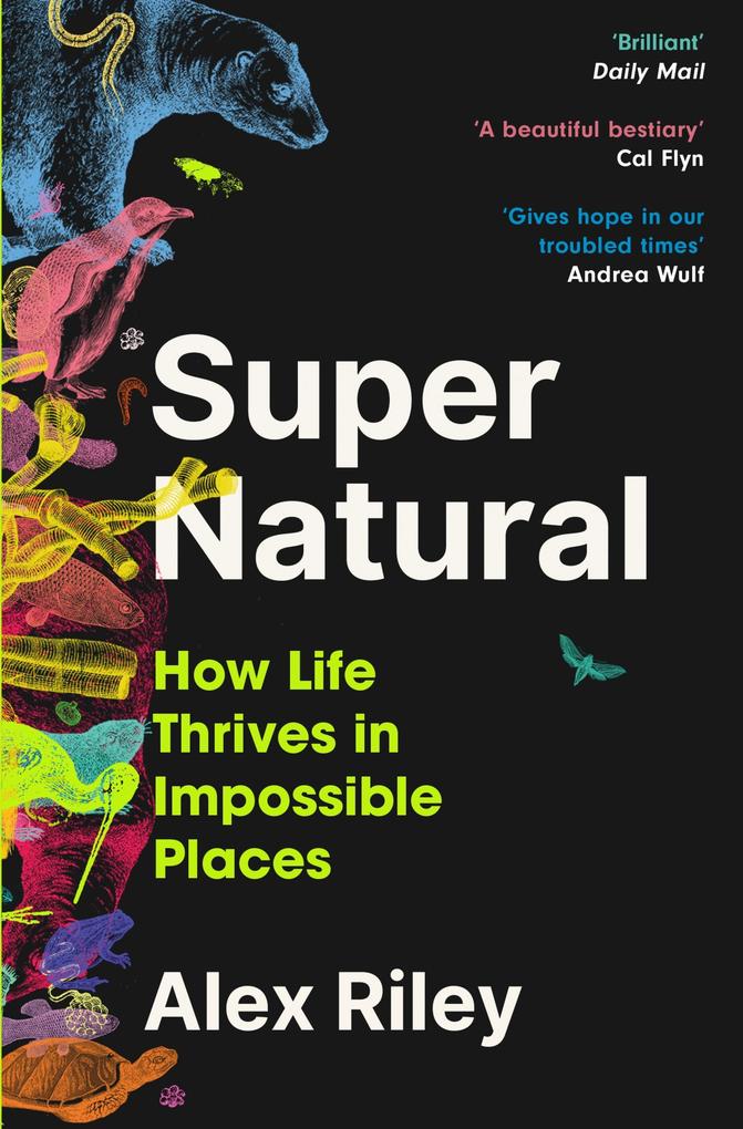 Produktbild: Super Natural | Alex Riley