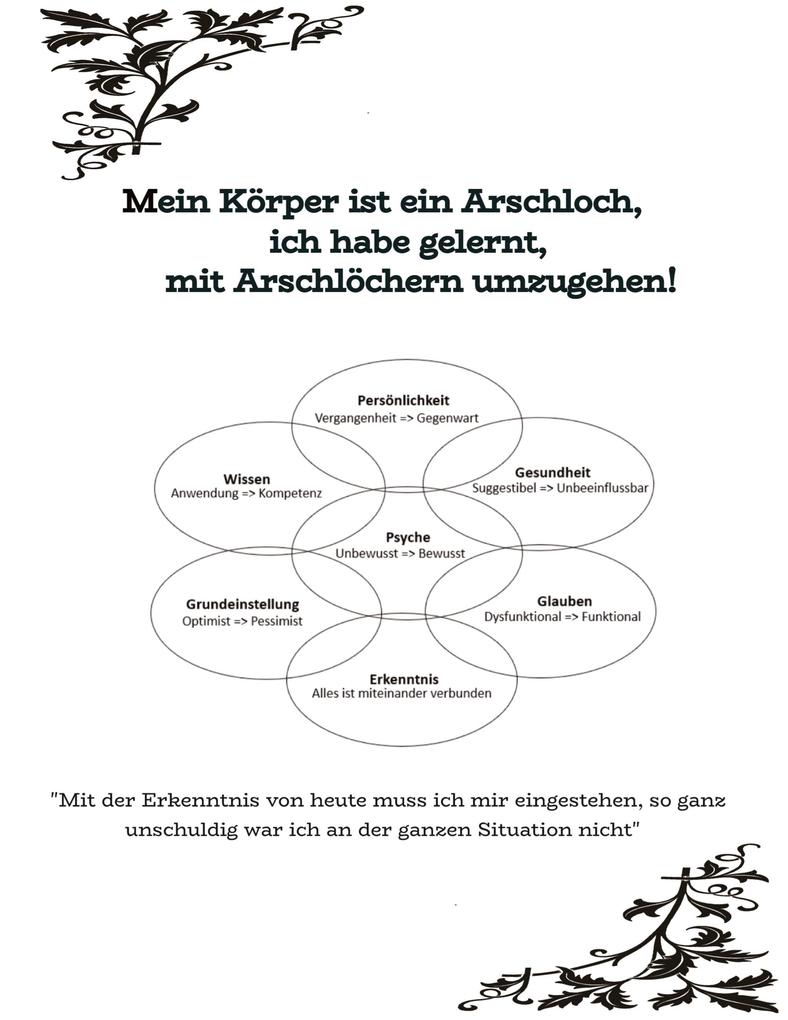 Produktbild: Mein Körper ist ein Arschloch, ich habe gelernt, mit Arschlöchern umzugehen! | Sinev Jasun