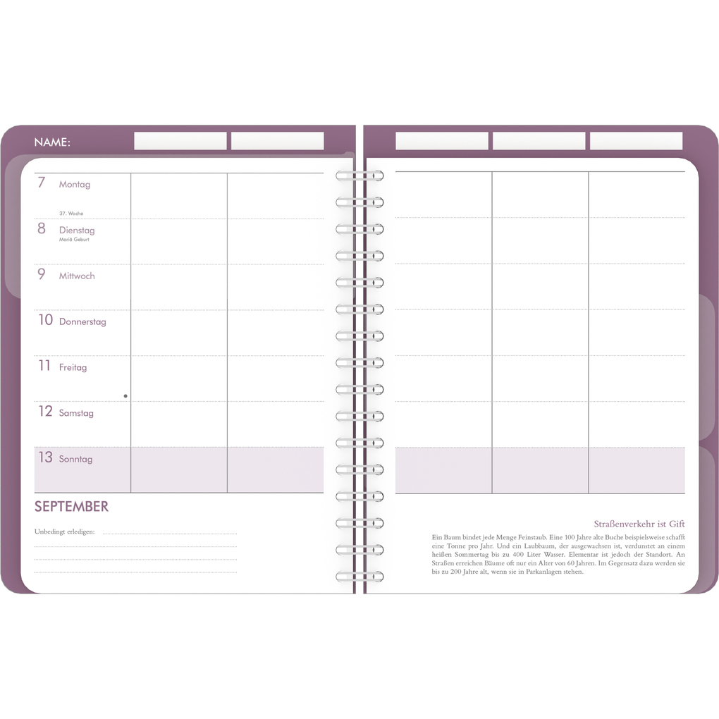 Weitere Ansicht: teNeues - Familienplaner-Buch Glamour 2026 - Familienkalender mit 5 Spalten, 18x23 cm | Praktischer Wochenkalender für Familienorganisation | DUMONT Kalenderverlag GmbH & Co. KG