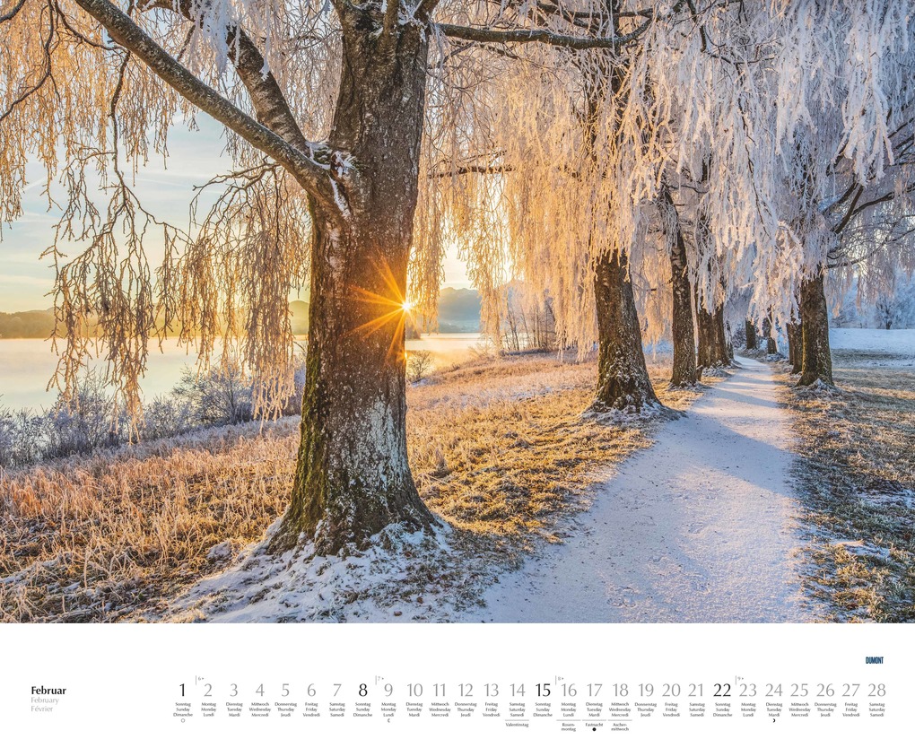 Weitere Ansicht: Bäume - Alleen 2026 - Wandkalender 52 x 42,5 cm - Spiralbindung | DUMONT Kalenderverlag GmbH & Co. KG
