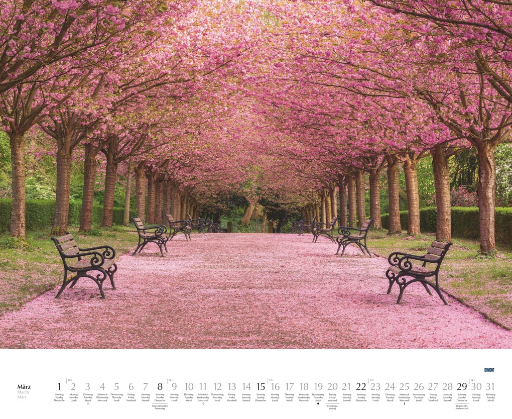 Weitere Ansicht: Bäume - Alleen 2026 - Wandkalender 52 x 42,5 cm - Spiralbindung | DUMONT Kalenderverlag GmbH & Co. KG