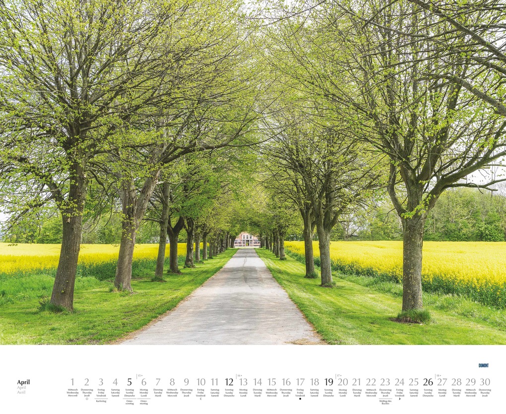 Weitere Ansicht: Bäume - Alleen 2026 - Wandkalender 52 x 42,5 cm - Spiralbindung | DUMONT Kalenderverlag GmbH & Co. KG