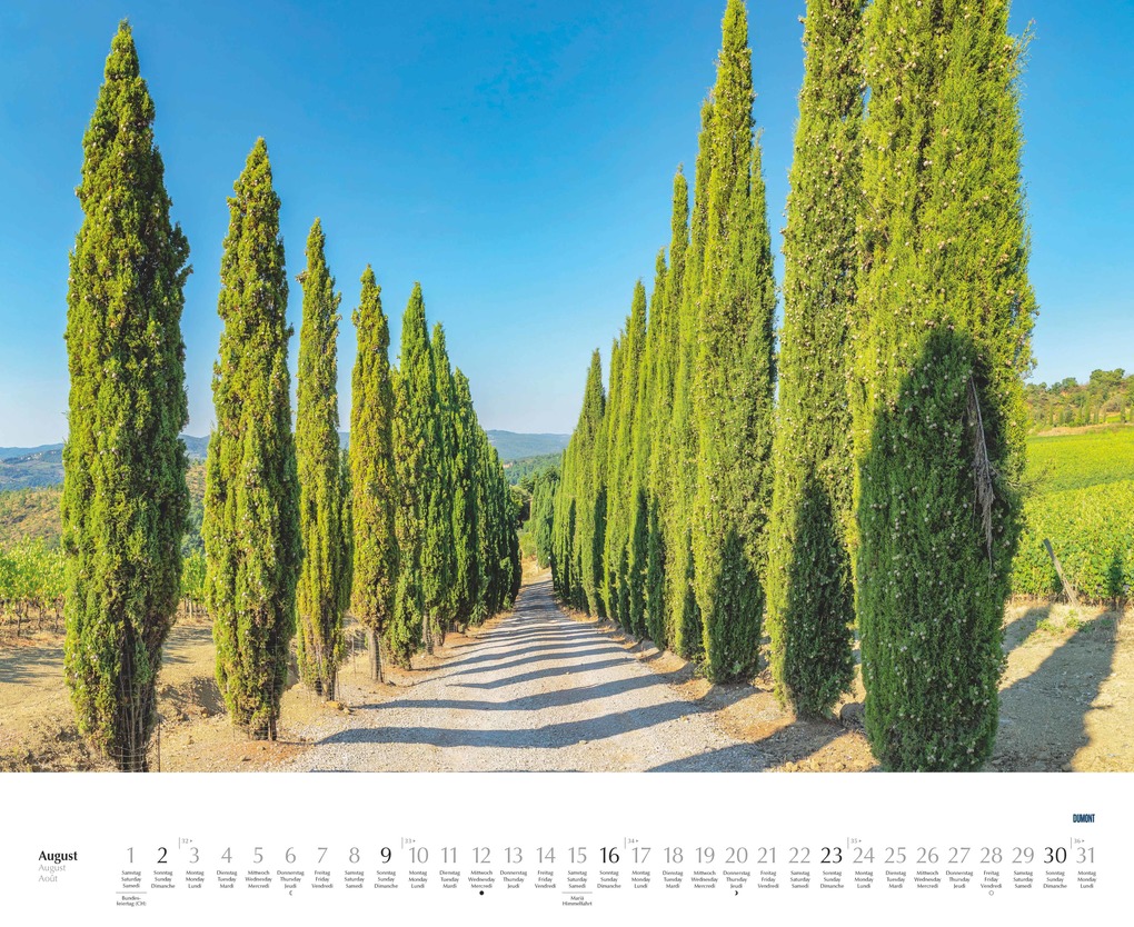 Weitere Ansicht: Bäume - Alleen 2026 - Wandkalender 52 x 42,5 cm - Spiralbindung | DUMONT Kalenderverlag GmbH & Co. KG