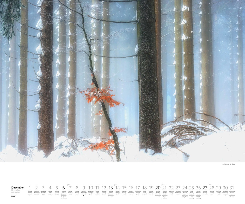 Weitere Ansicht: Waldspaziergang 2026 - Fotokunst-Kalender - Querformat 60 x 50 cm - Spiralbindung | DUMONT Kalenderverlag GmbH & Co. KG