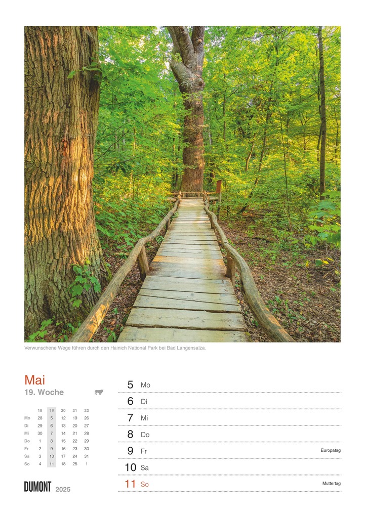 Weitere Ansicht: DUMONT - In Deutschland unterwegs 2026 - Wochenkalender 21 x 30 cm, Wandkalender mit 53 Reisezielen, für Natur- und Kulturliebhaber | DUMONT Kalenderverlag GmbH & Co. KG