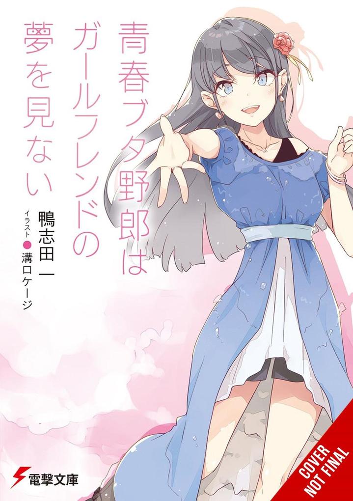 Produktbild: Rascal Does Not Dream of His Girlfriend (Light Novel) | Hajime Kamoshida