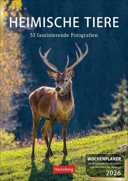 Produktbild: Heimische Tiere Wochenplaner 2026 - 53 faszinierende Fotografien | Markus Hattstein