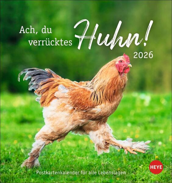 Produktbild: Hühner Postkartenkalender 2026 - Ach, du verrücktes Huhn!