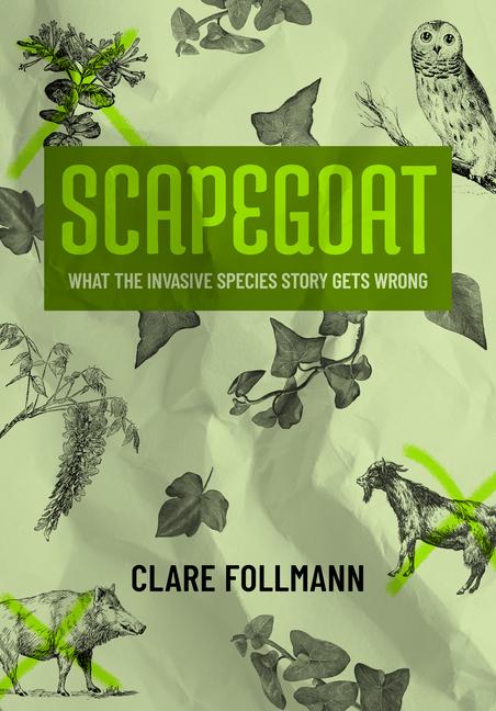 Produktbild: Scapegoat | Clare Follmann