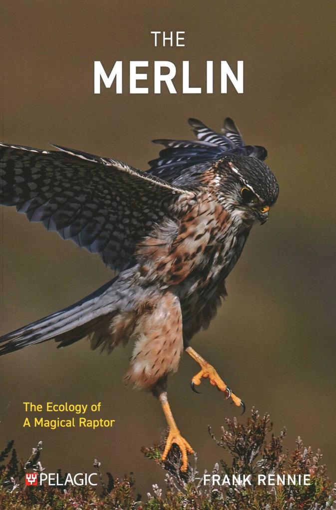 Produktbild: The Merlin | Frank Rennie