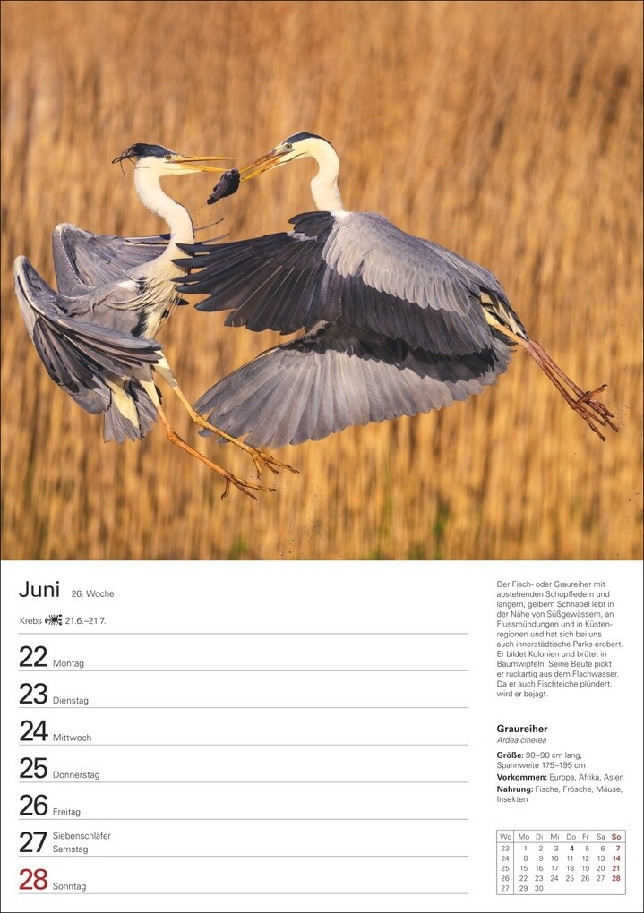 Weitere Ansicht: Heimische Tiere Wochenplaner 2026 - 53 faszinierende Fotografien | Markus Hattstein
