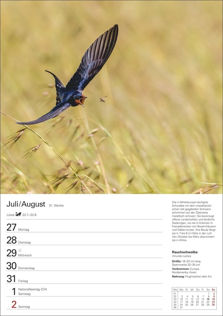 Weitere Ansicht: Heimische Tiere Wochenplaner 2026 - 53 faszinierende Fotografien | Markus Hattstein