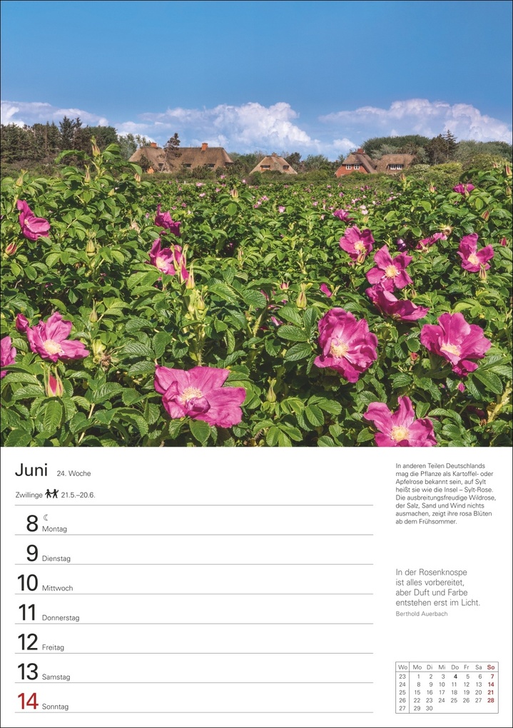 Weitere Ansicht: Sylt Wochenplaner 2026 - Eine Reise in 53 Bildern | Ulrike Issel