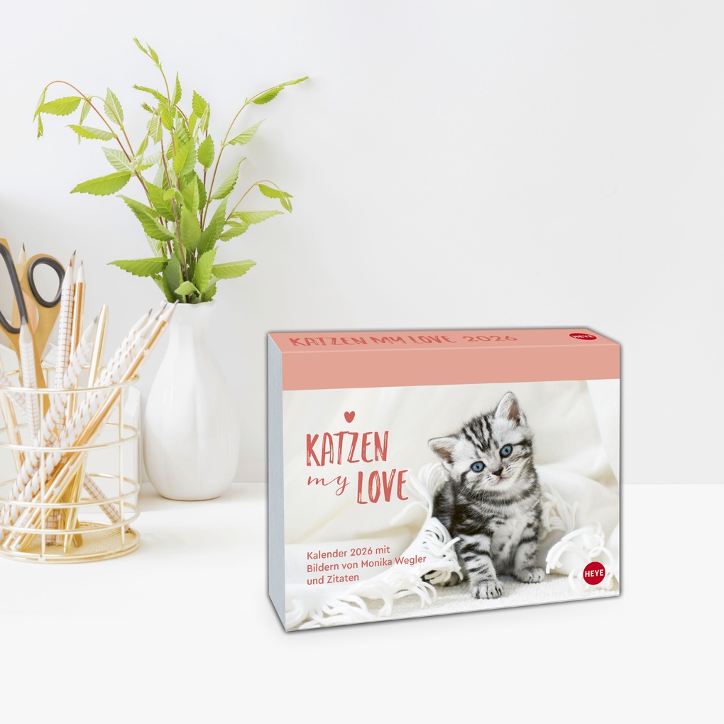 Weitere Ansicht: Katzen my love Tagesabreißkalender 2026