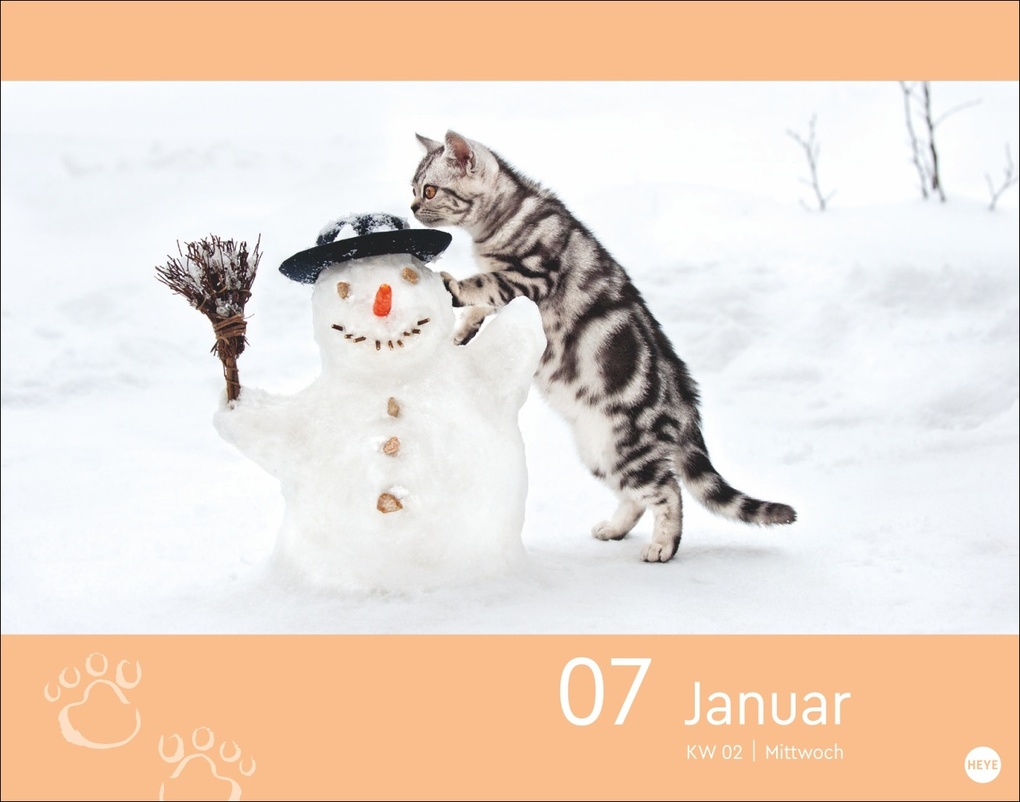 Weitere Ansicht: Katzen my love Tagesabreißkalender 2026