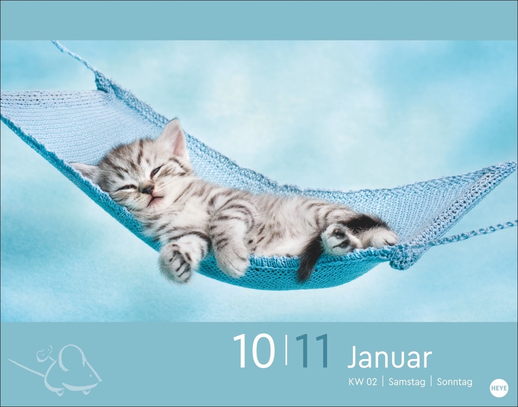 Weitere Ansicht: Katzen my love Tagesabreißkalender 2026