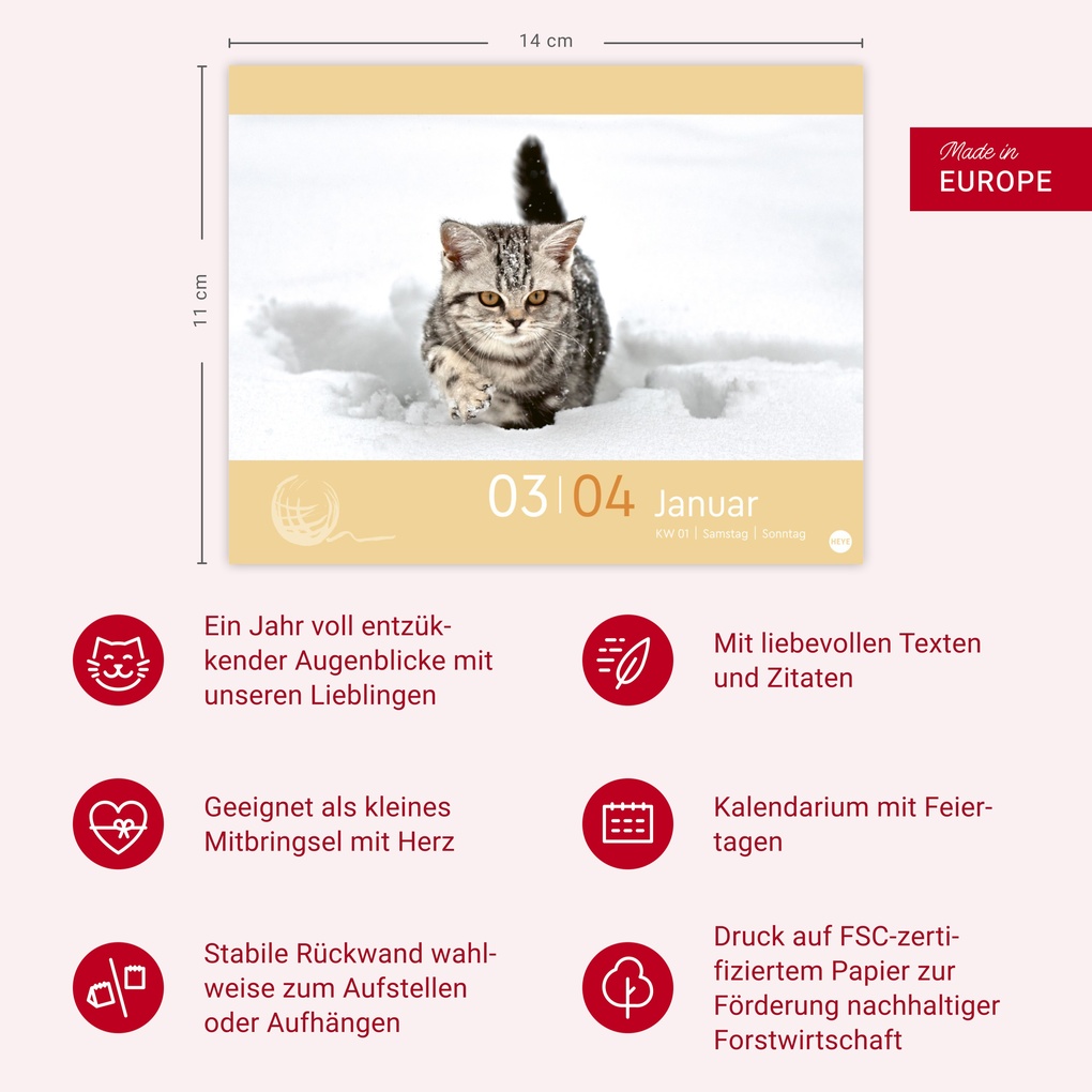 Weitere Ansicht: Katzen my love Tagesabreißkalender 2026