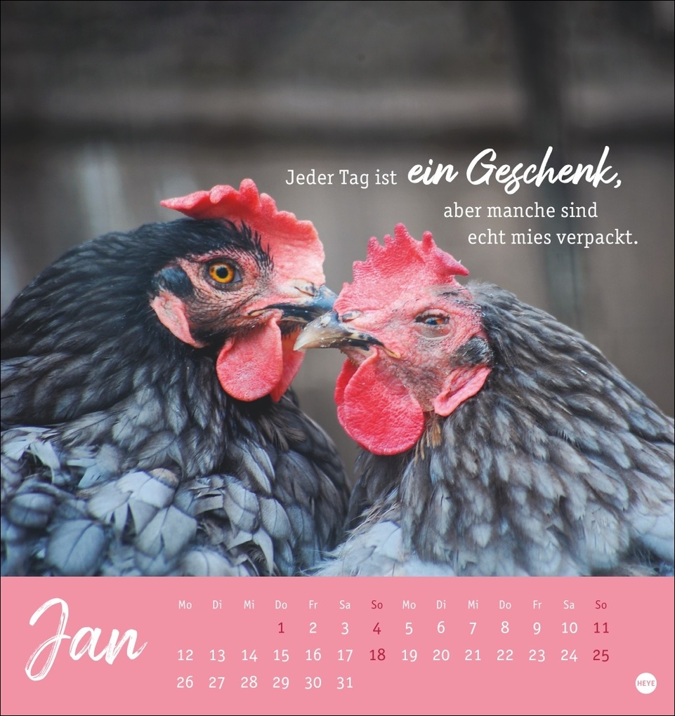 Weitere Ansicht: Hühner Postkartenkalender 2026 - Ach, du verrücktes Huhn!