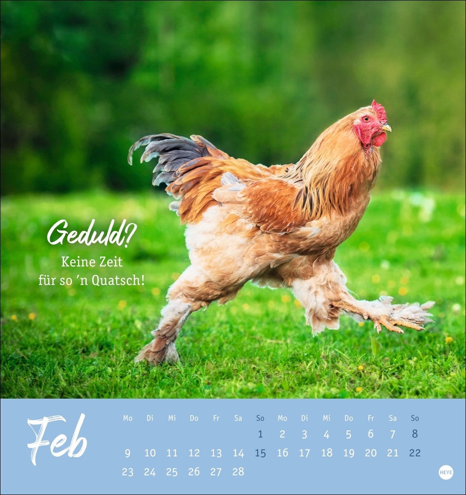 Weitere Ansicht: Hühner Postkartenkalender 2026 - Ach, du verrücktes Huhn!