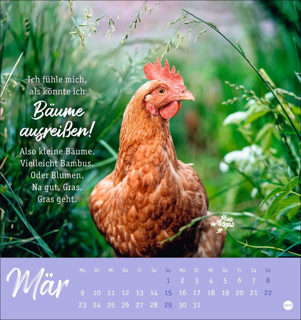 Weitere Ansicht: Hühner Postkartenkalender 2026 - Ach, du verrücktes Huhn!