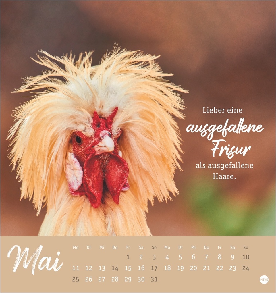 Weitere Ansicht: Hühner Postkartenkalender 2026 - Ach, du verrücktes Huhn!