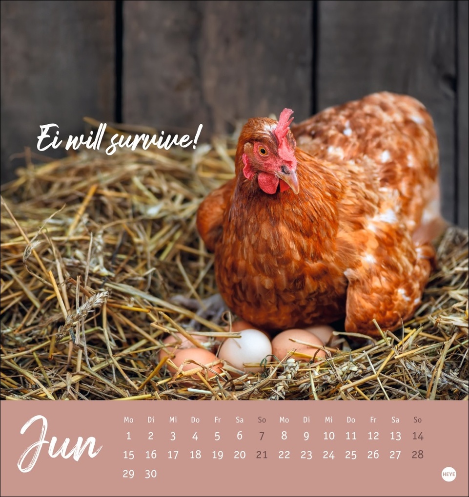 Weitere Ansicht: Hühner Postkartenkalender 2026 - Ach, du verrücktes Huhn!