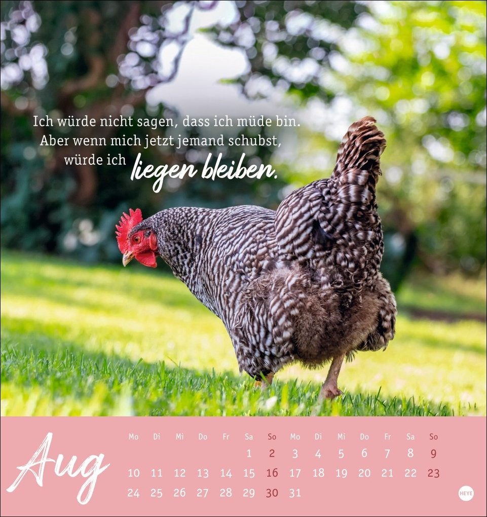 Weitere Ansicht: Hühner Postkartenkalender 2026 - Ach, du verrücktes Huhn!