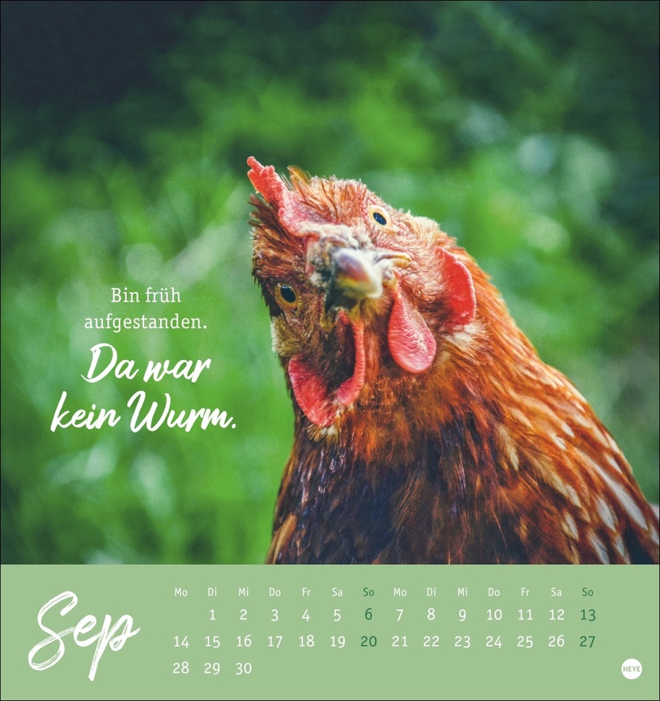Weitere Ansicht: Hühner Postkartenkalender 2026 - Ach, du verrücktes Huhn!