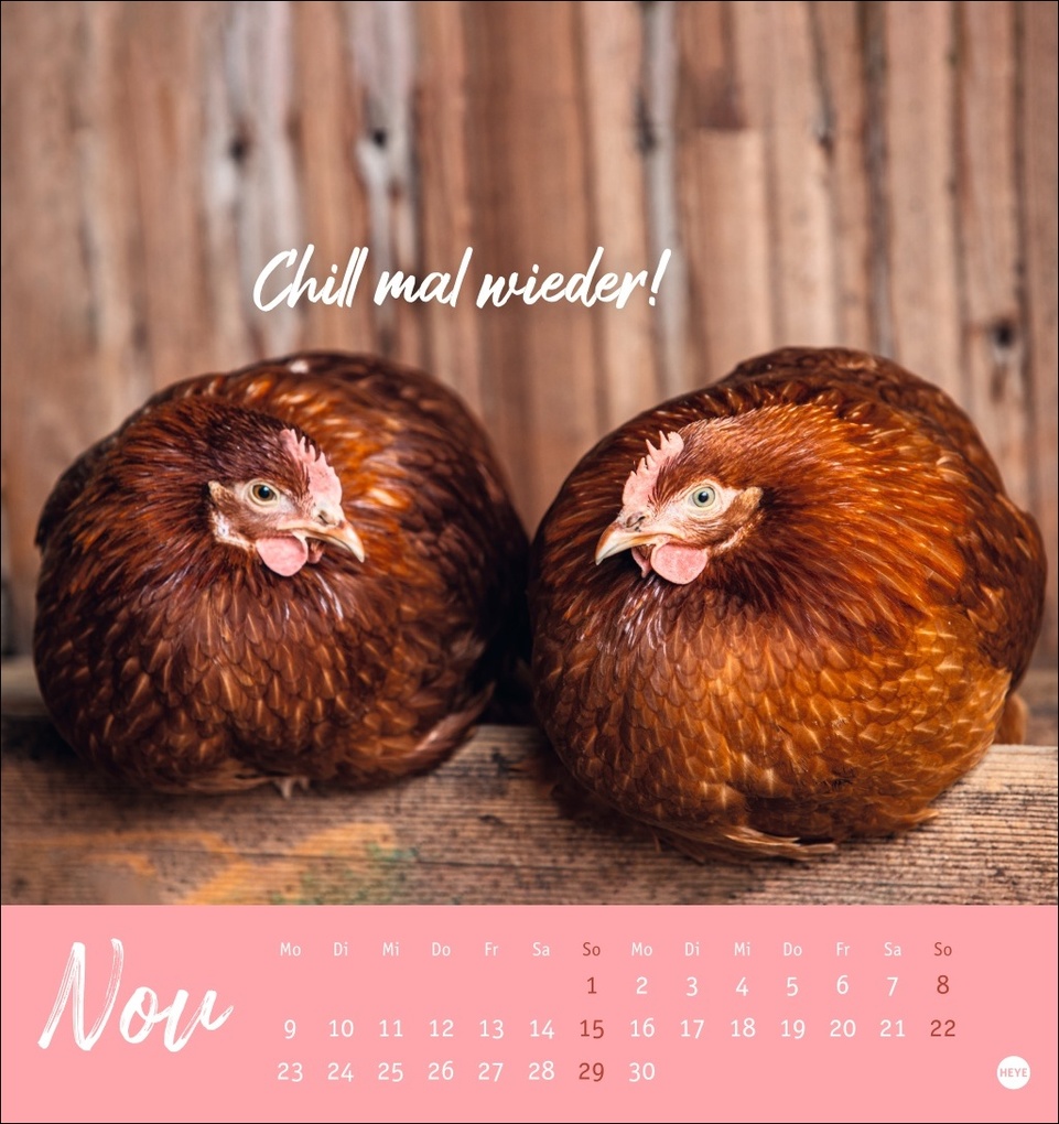 Weitere Ansicht: Hühner Postkartenkalender 2026 - Ach, du verrücktes Huhn!