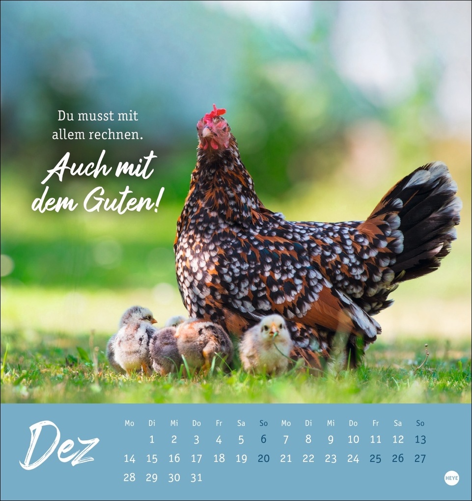 Weitere Ansicht: Hühner Postkartenkalender 2026 - Ach, du verrücktes Huhn!